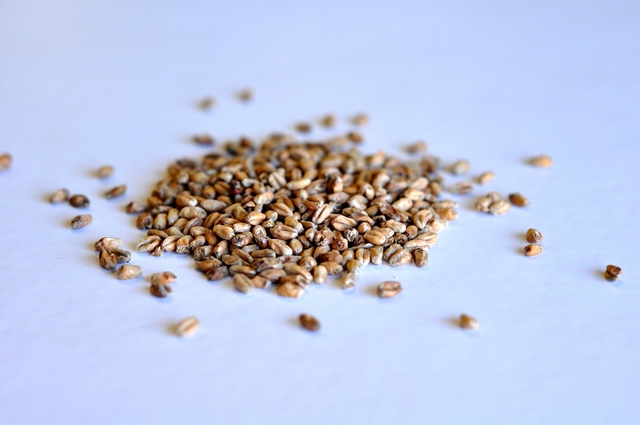 Dark Wheat (German)